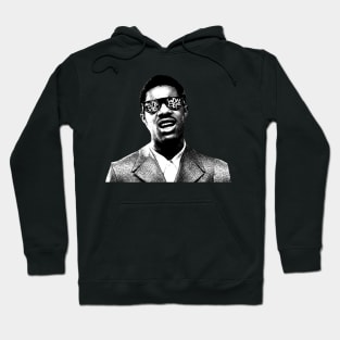 Mr. Stevie Wonder Hoodie